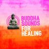 Wisdom - Buddha Sounds