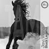 Black Legend (Cult Tour Remix) - Javi Viana
