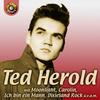 Lover Doll (Ohne Dich) - Ted Herold