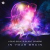 In Your Brain (Original Mix) - Liquid Soul&Silent Sphere