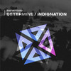 Indignation - Safinteam