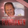 Ein Feuerwerk der Liebe (Flamenco Edit) - Bert Silver