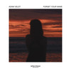 Forget Your Name - Adam Veldt