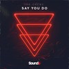 Say You Do - Joe Crewe