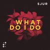 What Do I Do - SJUR