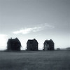 Down - Richard Young