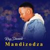 Mandizodza - Ray Daniels