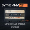 Livin' La Vida Loca(Cover Version) - By the Way