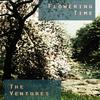 Sugarfoot Rag - The Ventures