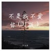 不是我不爱你(DJ版) (伴奏) - DJ尼保