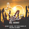Put Your Hands Up (Roland UA Remix) - Bunny House&Roland Ua