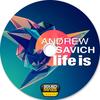Don't You - Andrew Savich