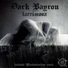 Insomnia (Original Mix) - Dark Bayron