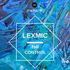 Not Too Much Tabacco - LEXMIC