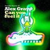 Can You Feel It - Alex Gray