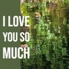 I Love You So Much - Vicki Young