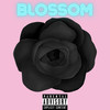 Blossom (Explicit) - NoLxck