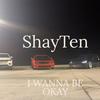 I Wanna Be Ok - Shayden Adams