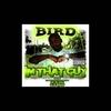 Cutty Buddy(Freestyle) (Explicit) - Bird100