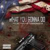 What You Gonna Do (Explicit) - Microphone Terrorists&Capella