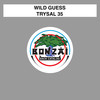 Trysal 35 (Original Mix) - Wild Guess