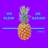 Un Flow de Safari (Explicit) - Kmilo