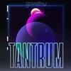 Tantrum (Tenkitsune remix) - Foxsky&Tenkitsune&Naser Mohabbat&Quang Trịnh