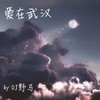 命中注定不能靠近（DJ潮博版） (remix: 潮博) (Remix) - DJ马公子&DJ野马