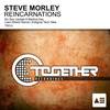 Reincarnations (Liam Wilson Remix) - Steve Morley