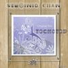 Techstep (Original Mix) - Serginio Chan