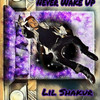 Never Wake Up - Lil Shakur