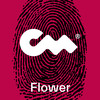 Flower - Fluwence&Albert Markiewicz&Closer Music