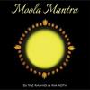 Moola Mantra (Short Version) [Instrumental] - DJ Taz Rashid&Ria Roth