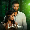 Like You - Avkash Mann