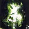 Ever After - Grant Evans&Teddybear&Foreign Forest