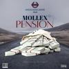 Pension (Explicit) - MOLLEX