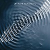 Fears for Tears - Tory Arndt