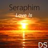 Love Is (Original Mix) - Seraphim
