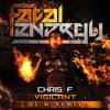 Vigilant (DJ W Remix) - Chris F