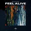 Feel Alive - Sanche