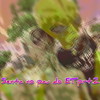 Senta no Pau do Et Prt.2 (Explicit) - MC 4R&MC Lil Beat