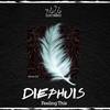 Feeling This (Original Mix) - Diephuis