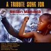 Nelson Mandela - Omid Hojjat