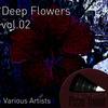 Silberfarben (Original Mix) - LRRH