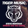 Where Are We Going (Original Mix) - Steve Montana&Murrell