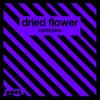 Contrains - Dried Flower