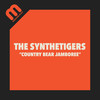 Country Bear Jamboree - The SyntheTigers