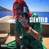 Sientelo (Explicit) - Sin Boy