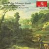 II. Largo -  III. Presto - Christopher Krueger&Boston Museum Trio