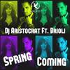 Spring Coming (Extended Mix) - DJ Aristocrat&Brioli